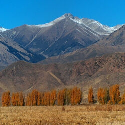 The Secret to a Better Trekking Experience