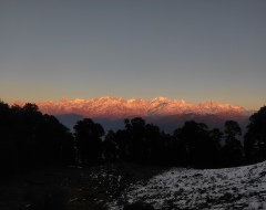 Comprehensive Guide to Dayara Bugyal Trek