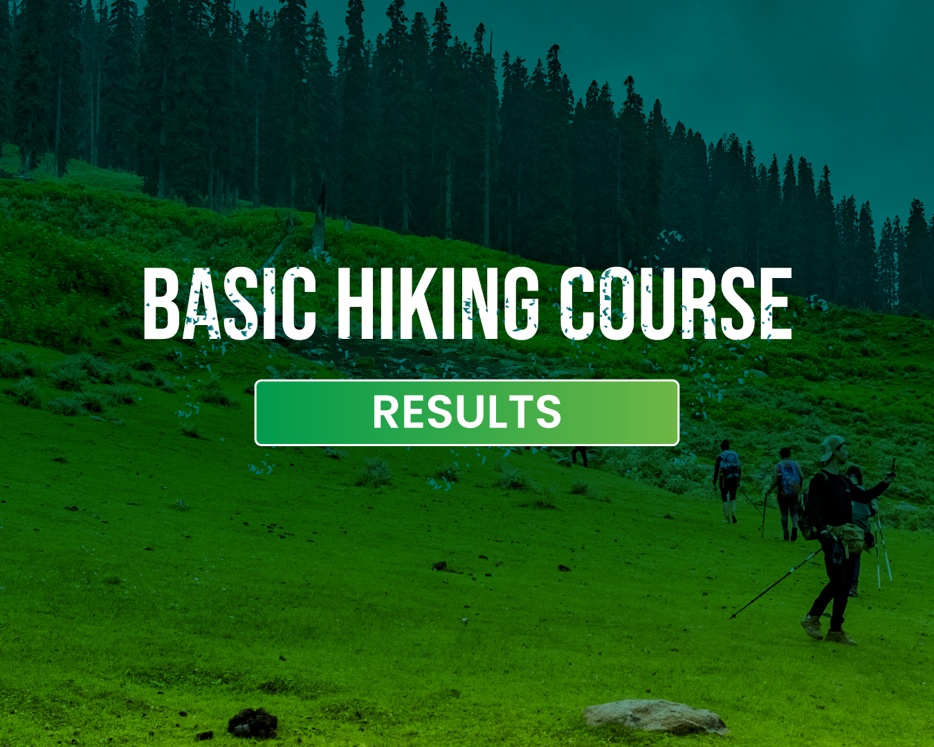 Hiking On Your Own: A Survey to Understand the Pain Points Trekkers Face on the Trail