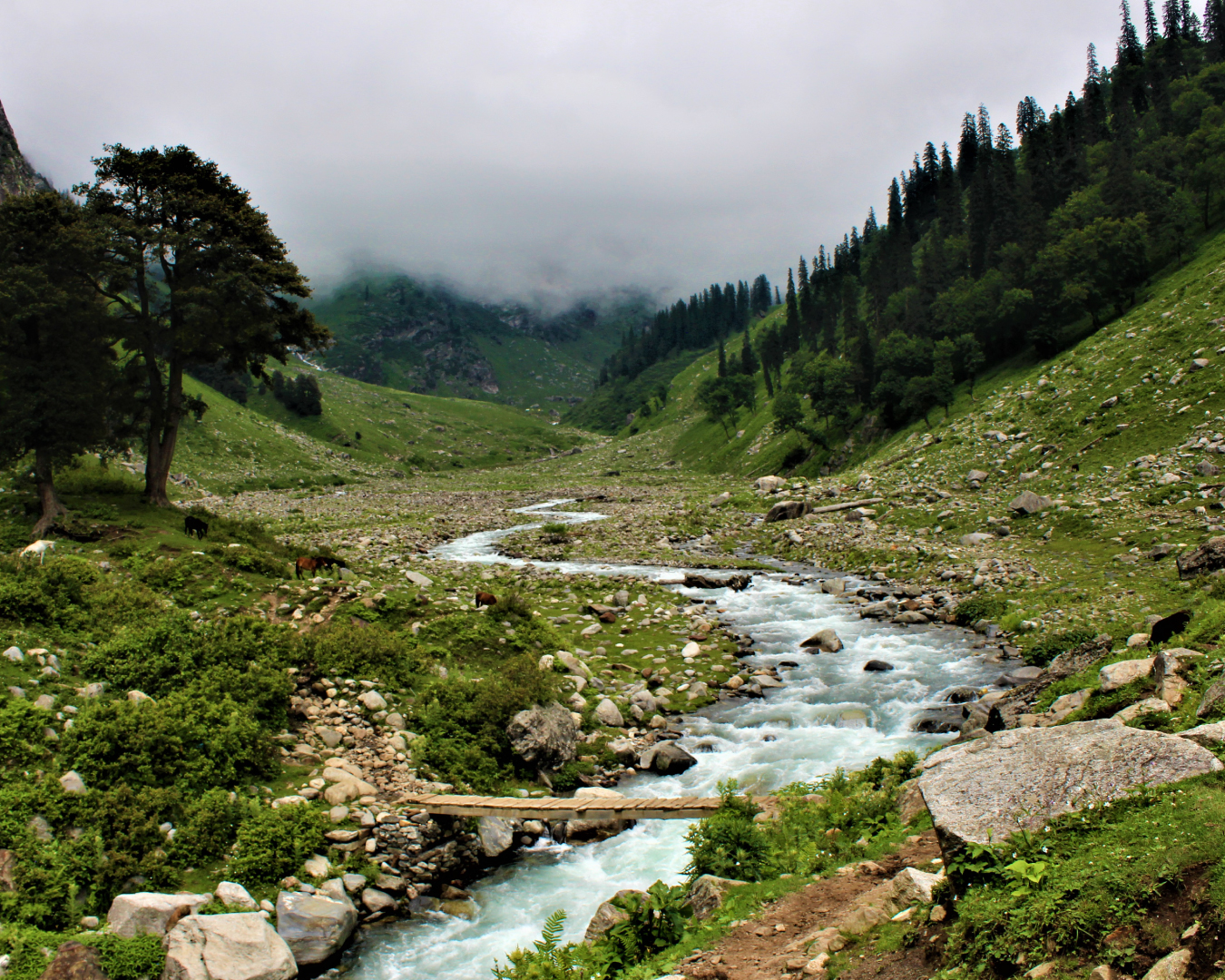 manali to hampta pass trek distance