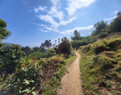 Sandakphu Phalut Trek: Frequently Asked Questions