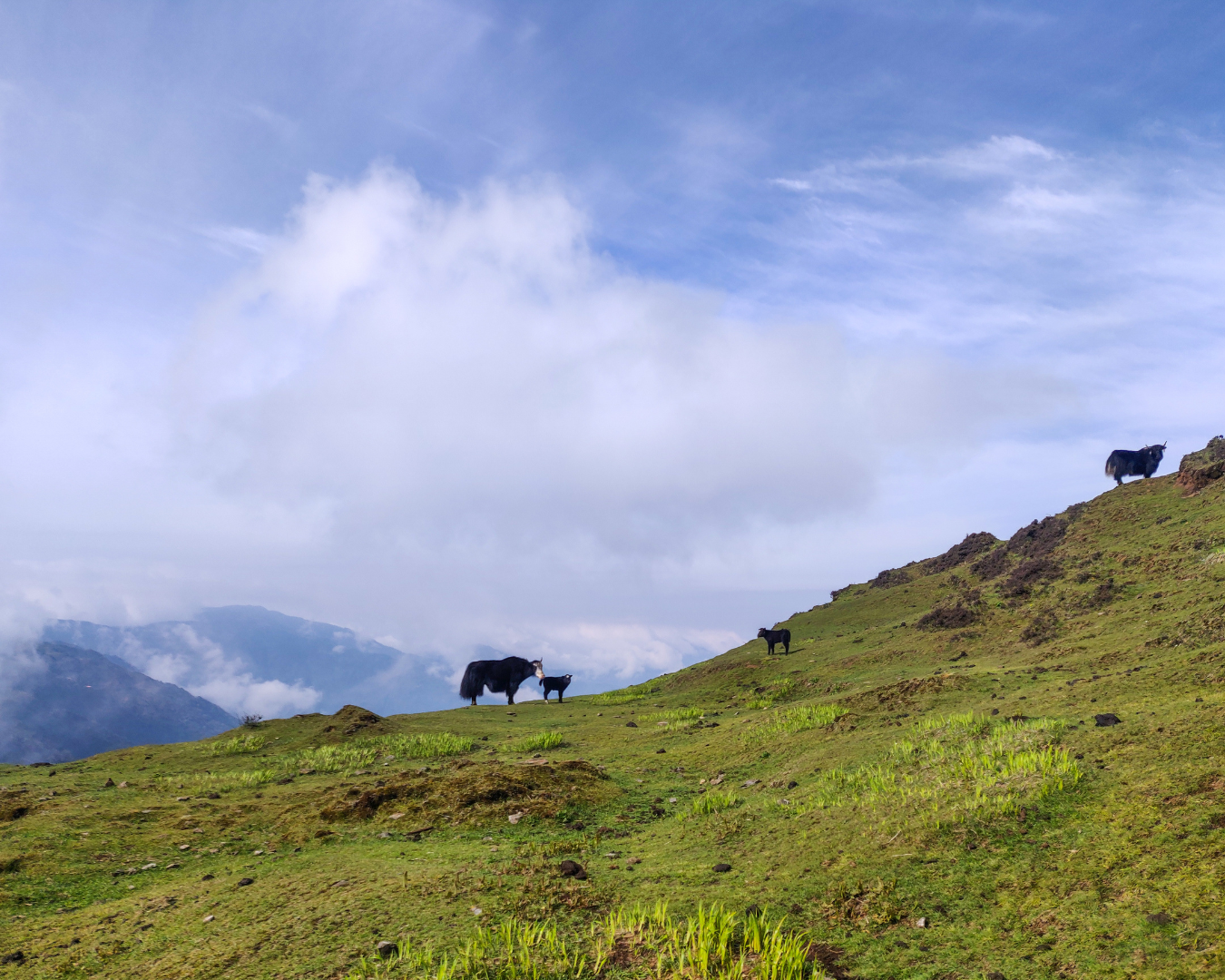 sandakphu trek location