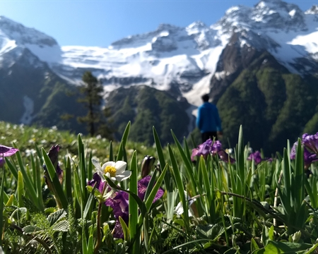 Buran Ghati Trek: My First High-Altitude Himalayan Adventure