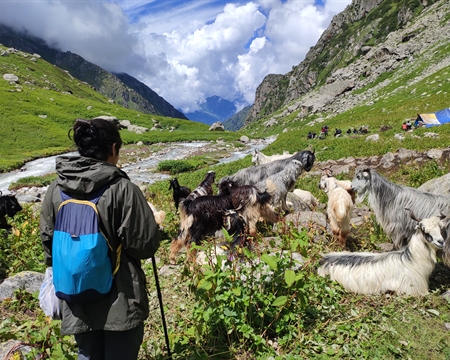 HIMACHAL-AFTER-THE-LANDSLIDES-VIA-THE-DEO-TIBBA-BASE-CAMP-TREK