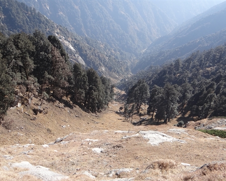 Triund