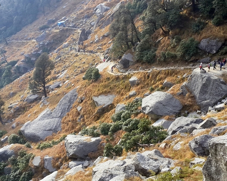 Triund