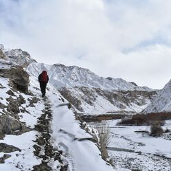 Trekking in Winter: Why Winter Trails Are a Different Kind of Magic