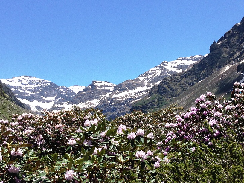 Rupin Pass - Not just another trek