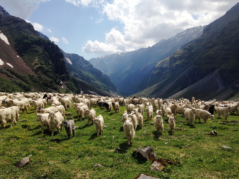 Rupin Pass - Not just another trek