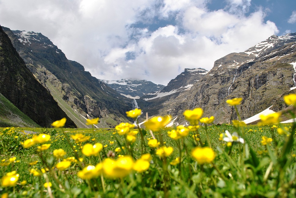 Rupin Pass - Not just another trek