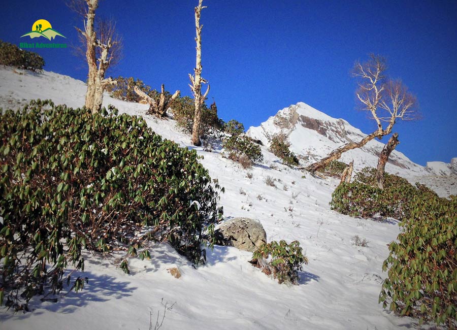 A Trek to Ruinsara Tal - The twin brother of Har ki Dun