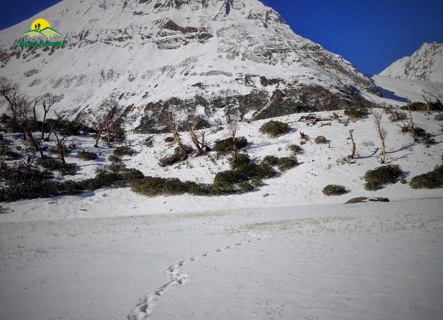 A Trek to Ruinsara Tal - The twin brother of Har ki Dun