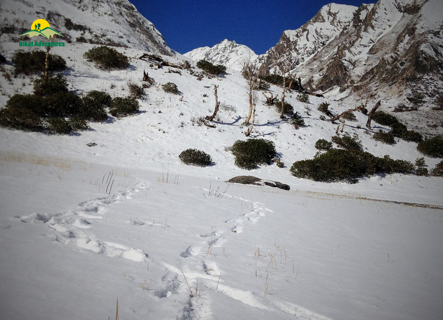 A Trek to Ruinsara Tal - The twin brother of Har ki Dun