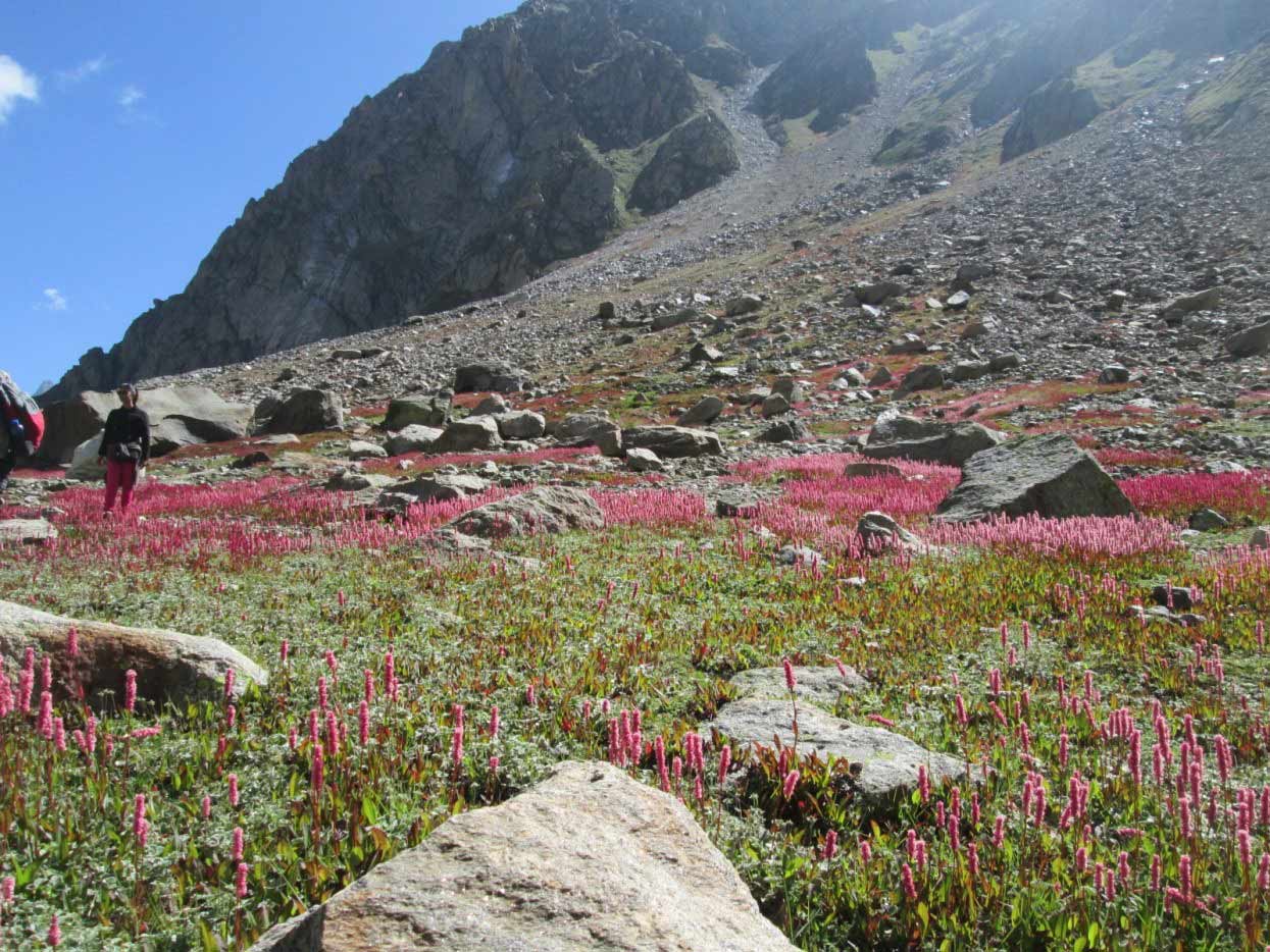 A woman consumed by Wanderlust- Hampta Pass