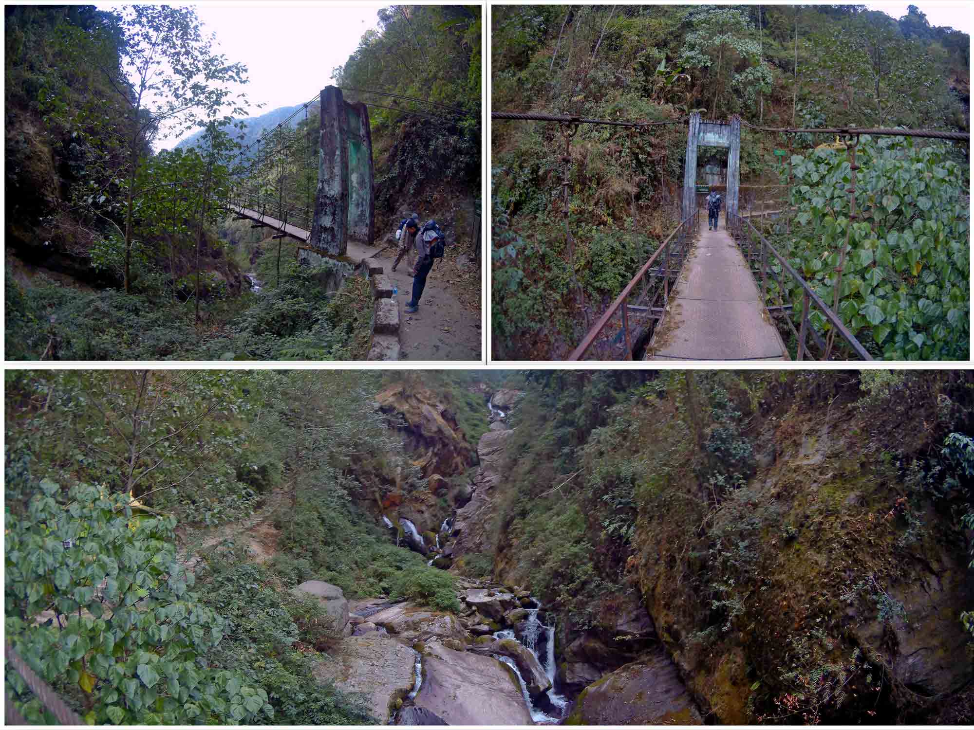 Goecha La - On the foothills of Mt. Kanchenjunga