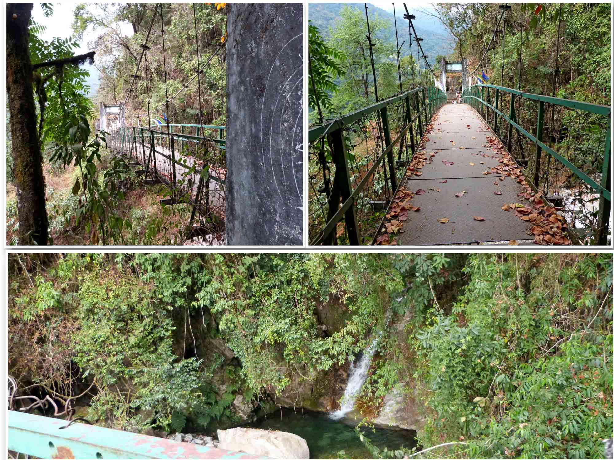 Goecha La - On the foothills of Mt. Kanchenjunga
