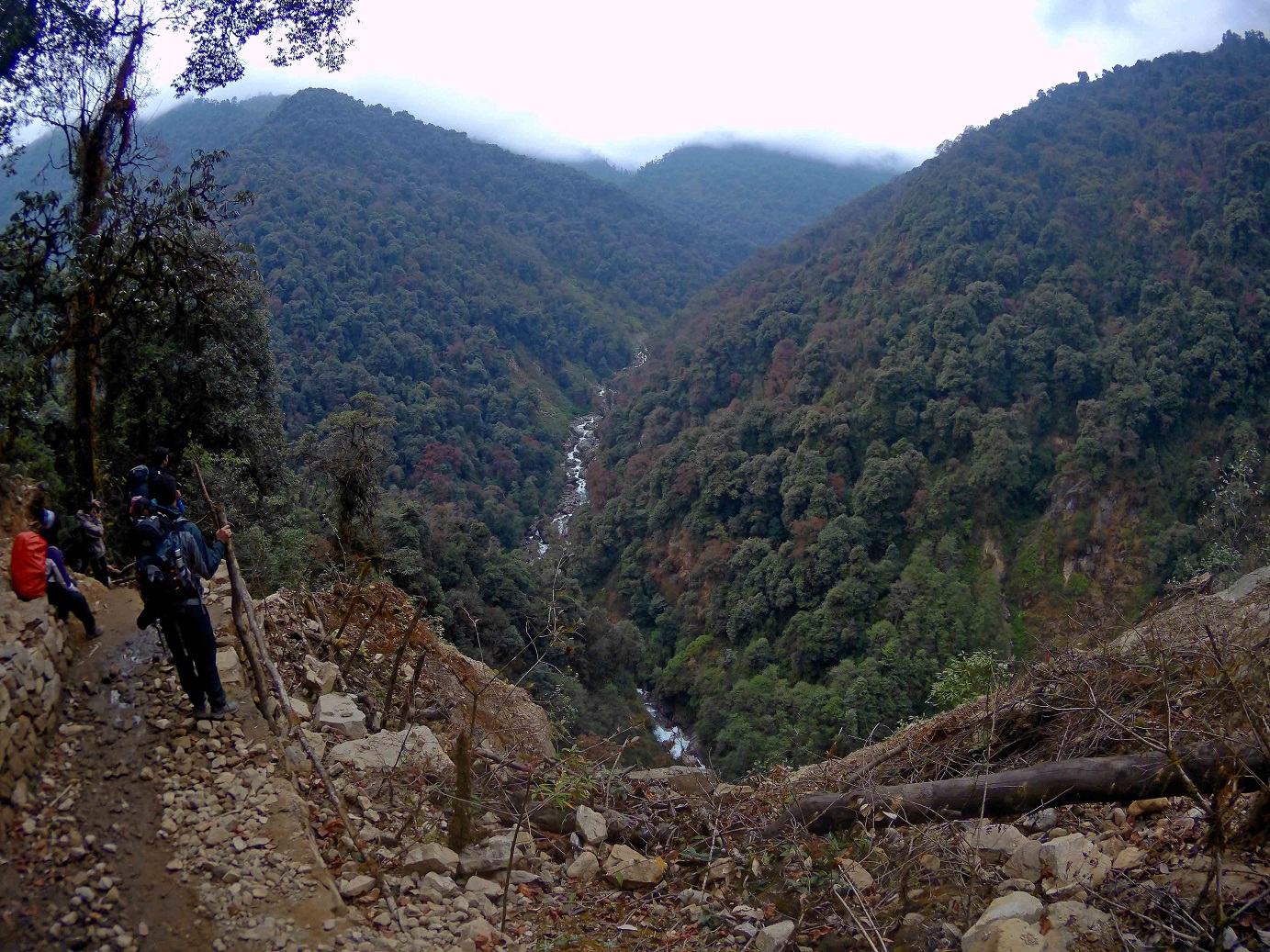 Goecha La - On the foothills of Mt. Kanchenjunga