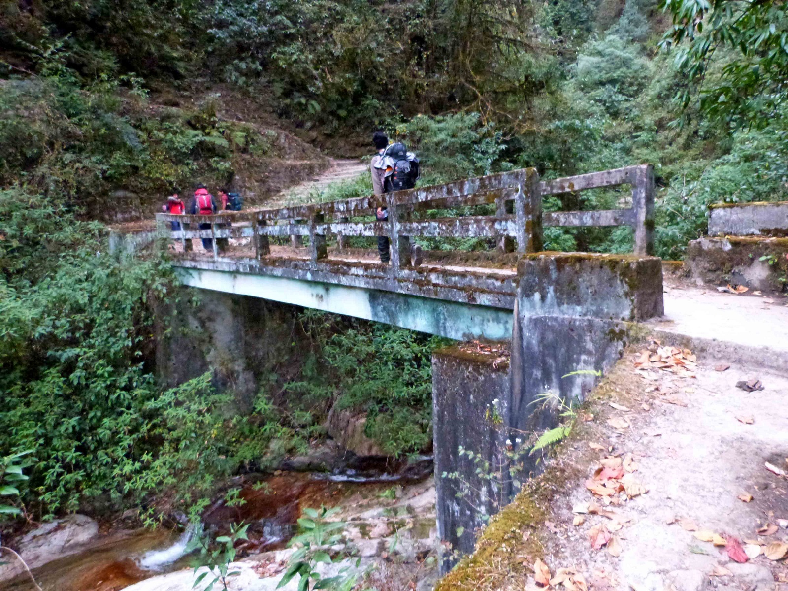 Goecha La - On the foothills of Mt. Kanchenjunga