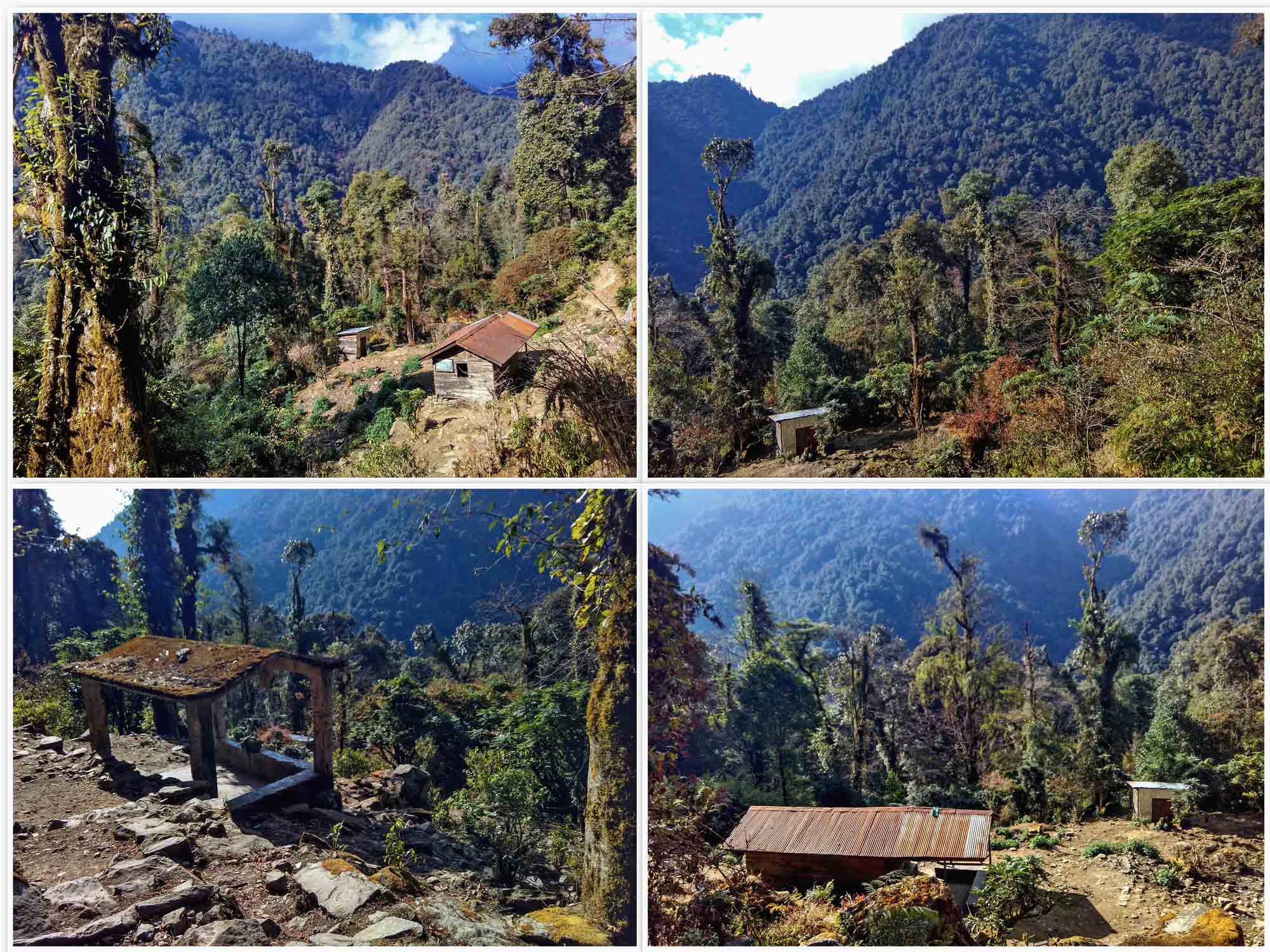 Goecha La - On the foothills of Mt. Kanchenjunga