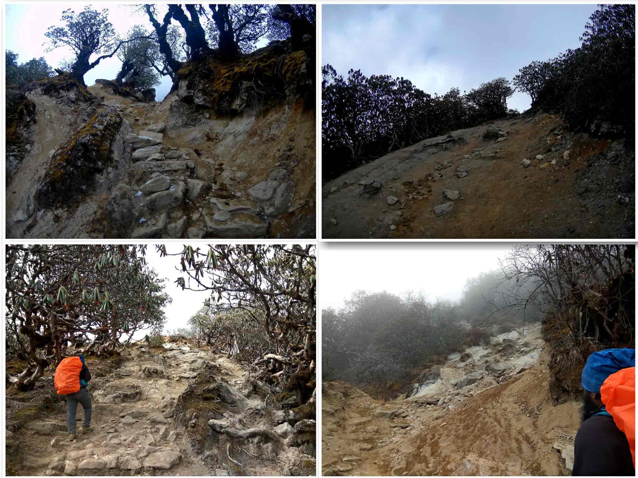 Goecha La - On the foothills of Mt. Kanchenjunga