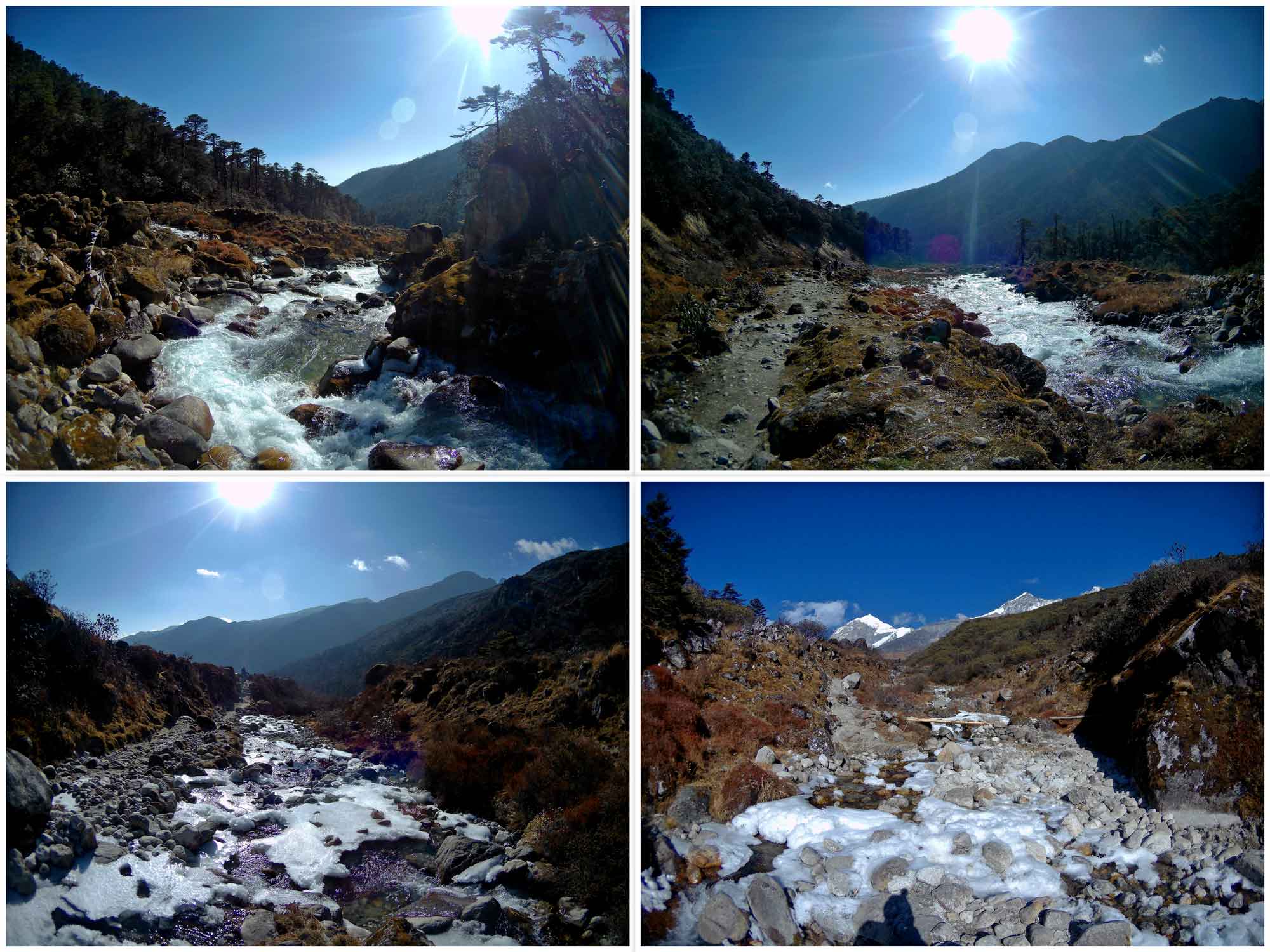 Goecha La - On the foothills of Mt. Kanchenjunga