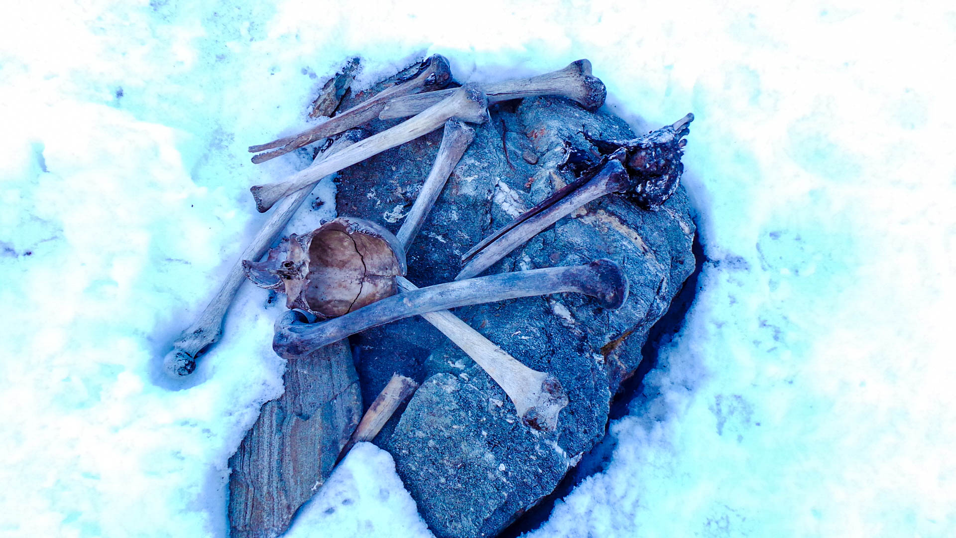 Of the skeletons and snow...