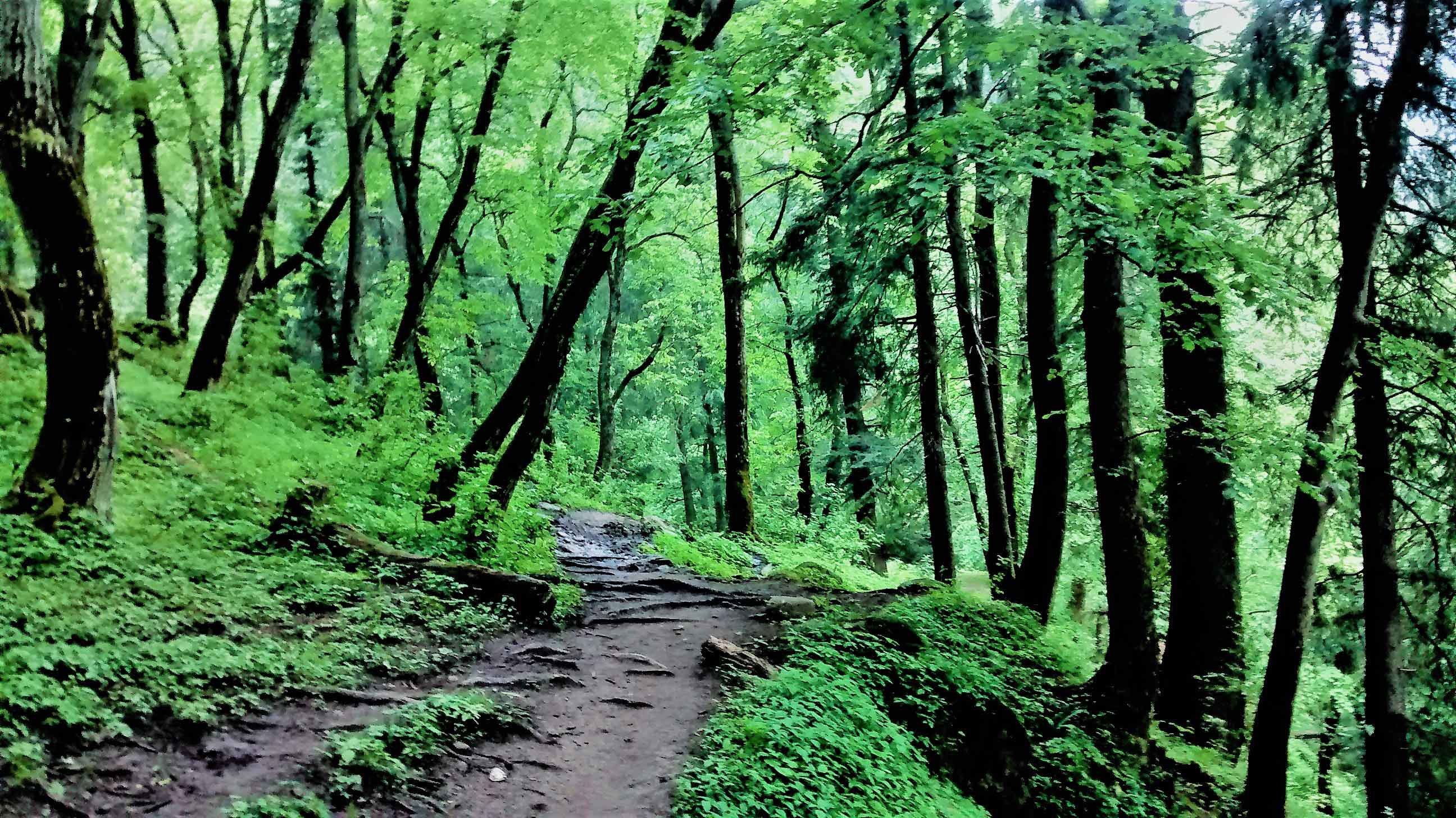 heaven parvati valley !