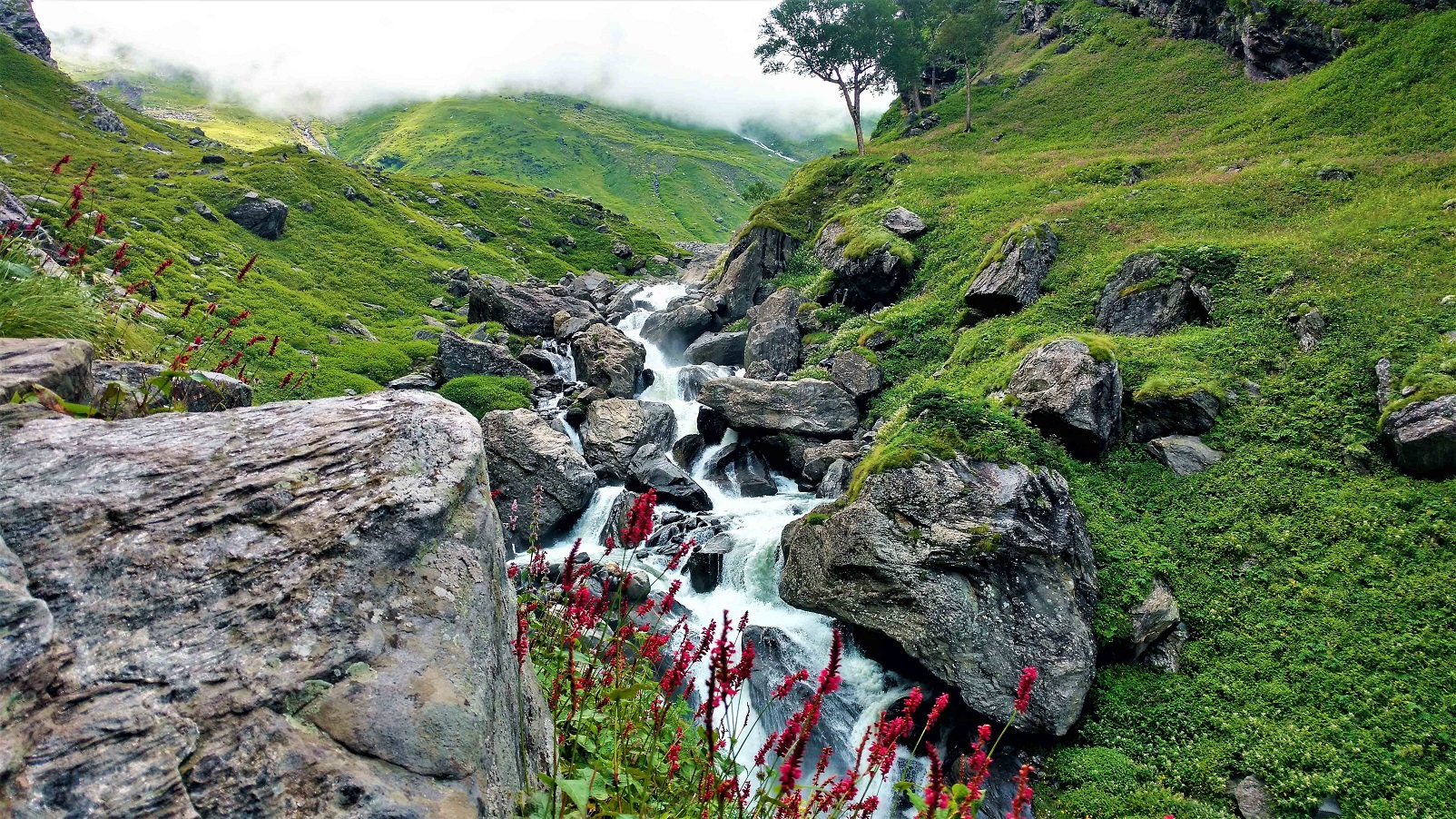 Hampta Pass - connecting the two heavens !