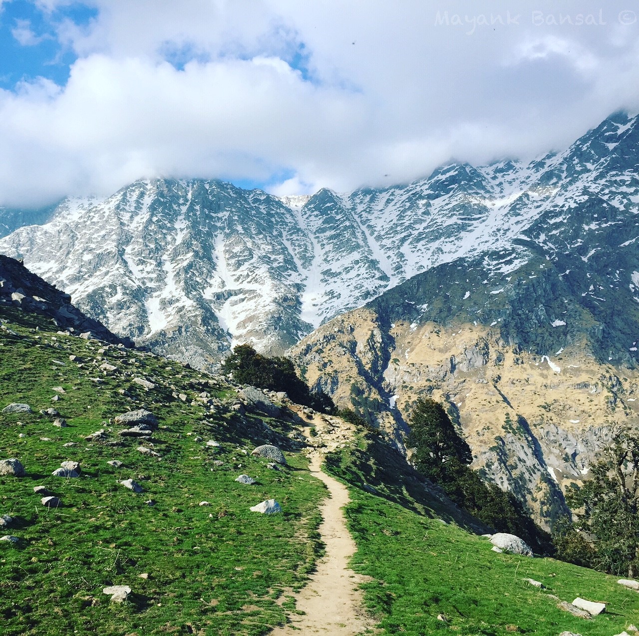 Call of the Mountains