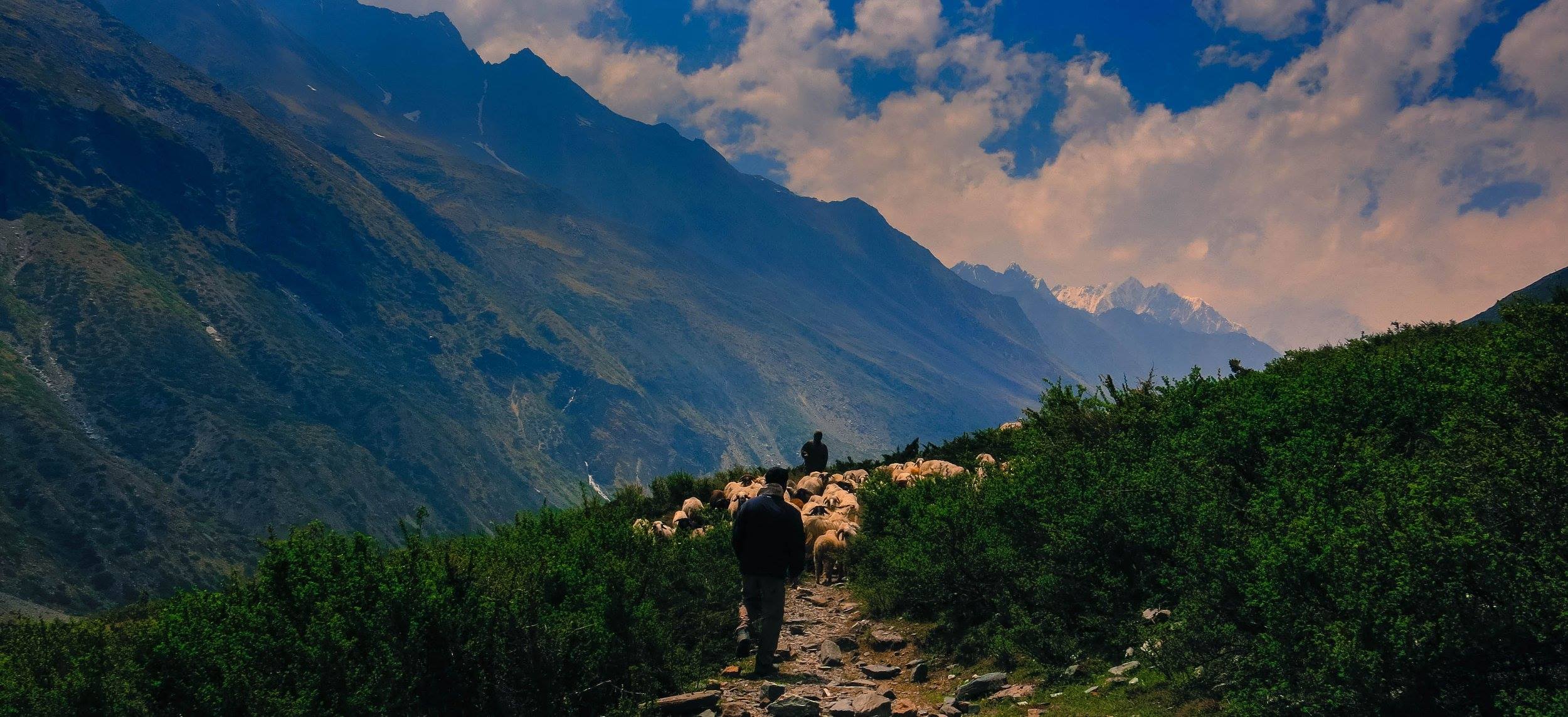 Footloose in the Himalayas