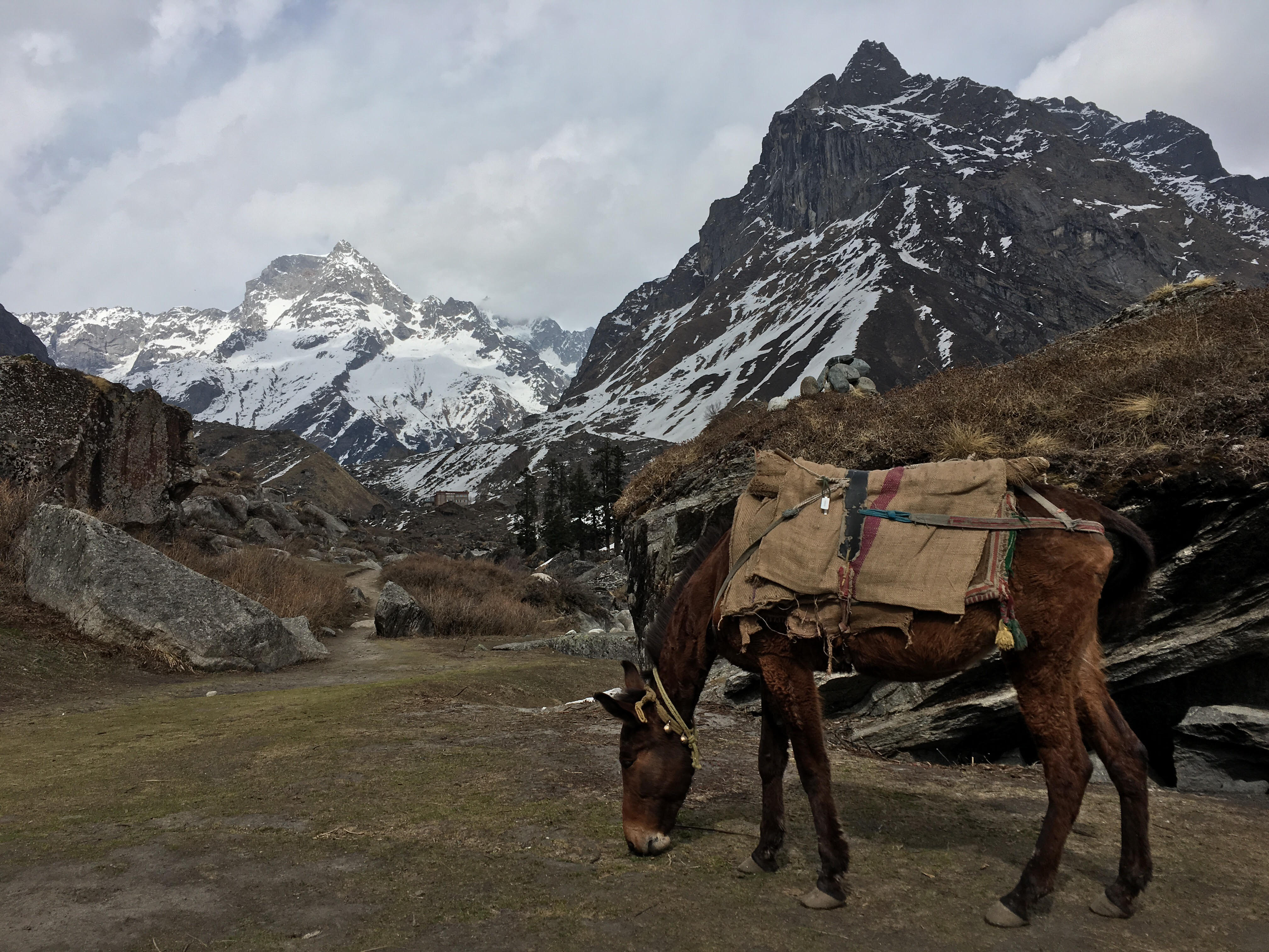 Crazy Is A Good Thing : What The Mountains Did To Me