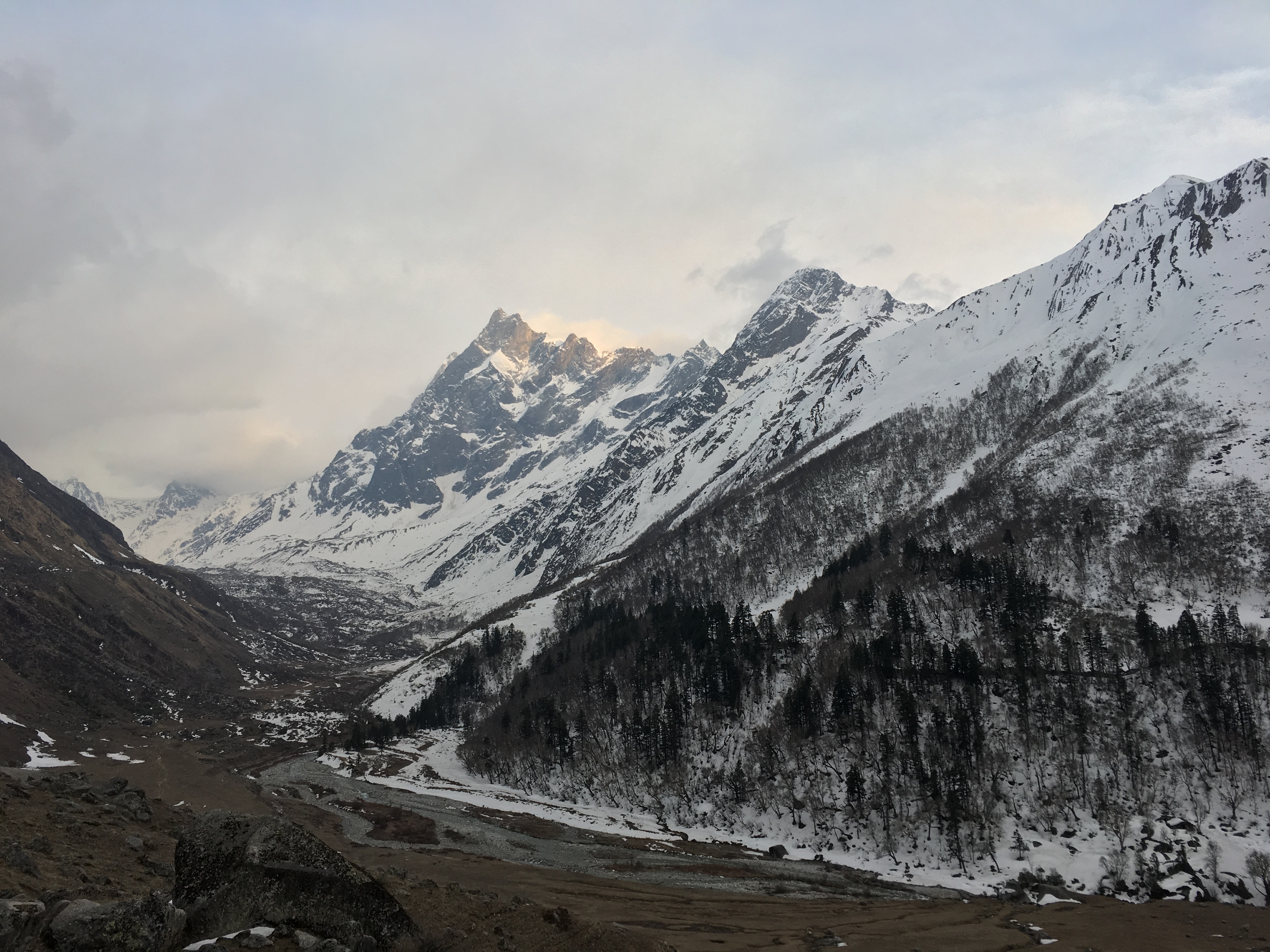 Crazy Is A Good Thing : What The Mountains Did To Me