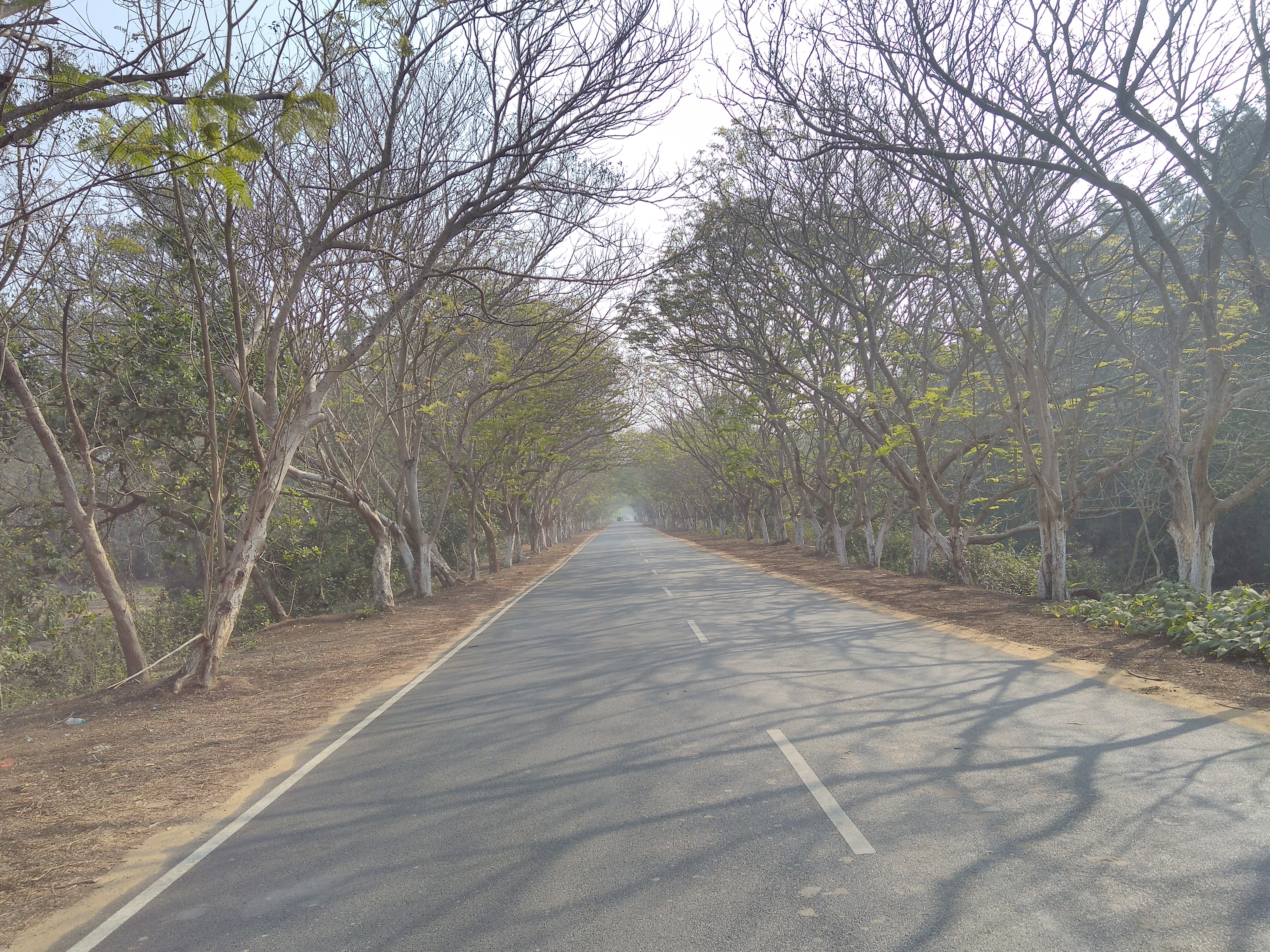 Coast 2 coast cycling