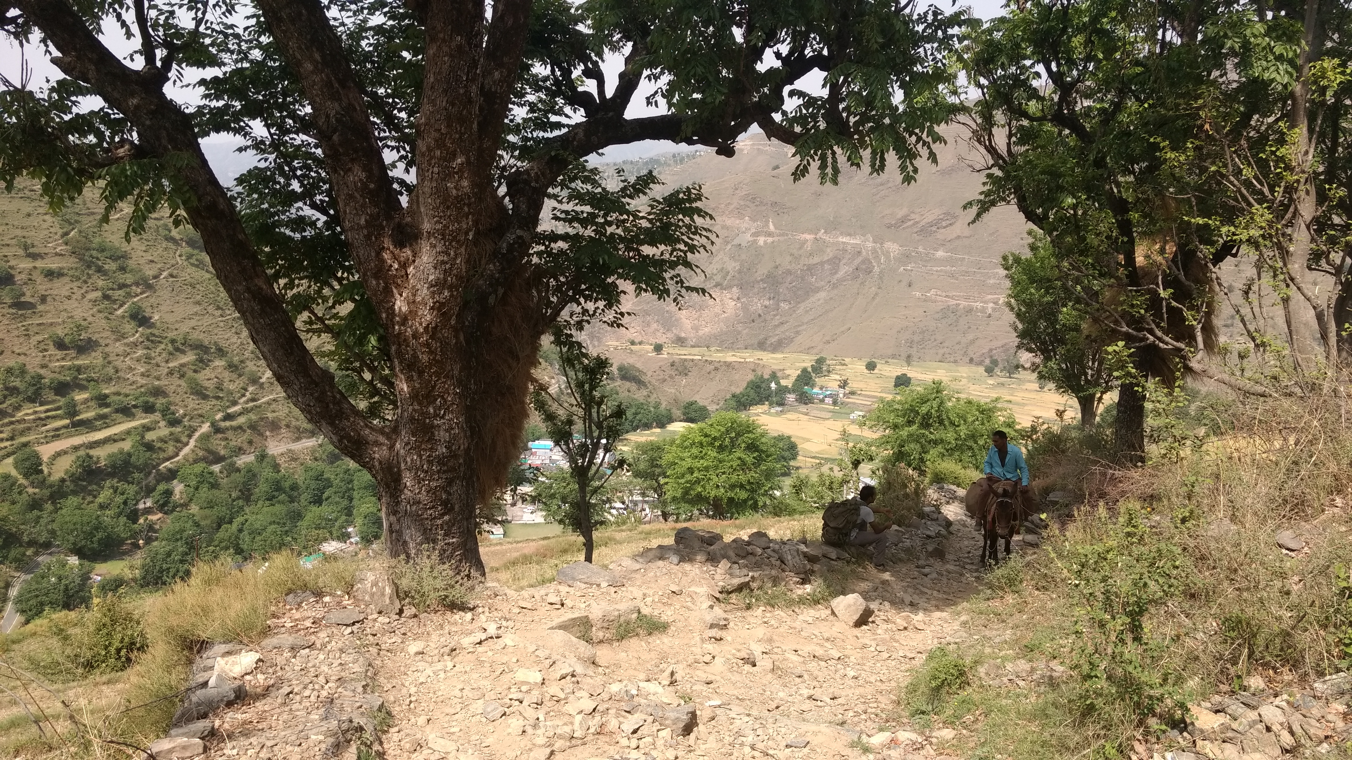 Of solo treks, open-top bus rides, and intoxicated drivers