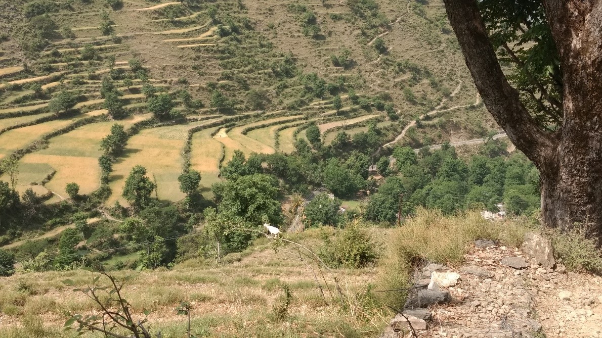 Of solo treks, open-top bus rides, and intoxicated drivers