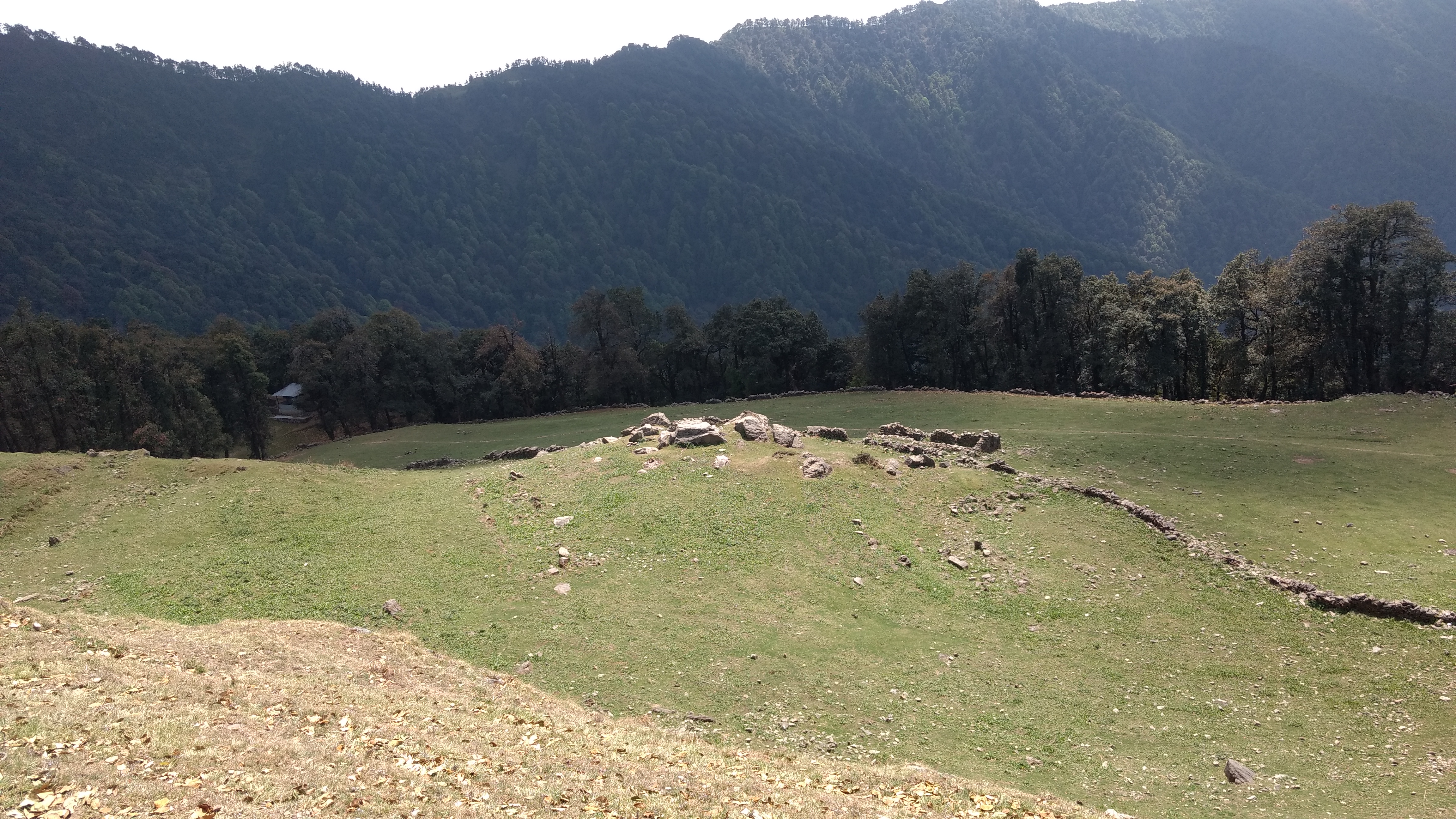 Of solo treks, open-top bus rides, and intoxicated drivers