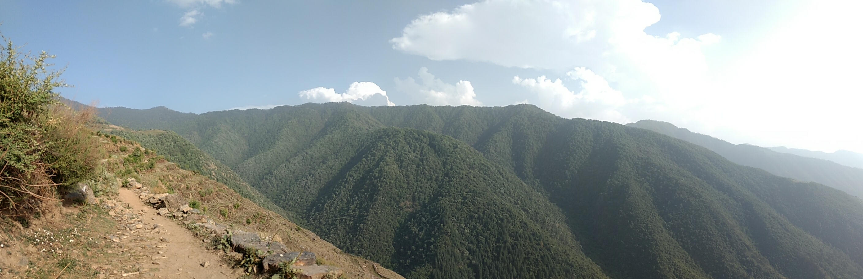 Of solo treks, open-top bus rides, and intoxicated drivers