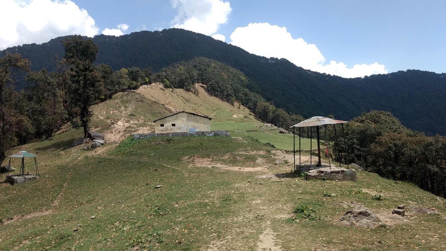 Of solo treks, open-top bus rides, and intoxicated drivers