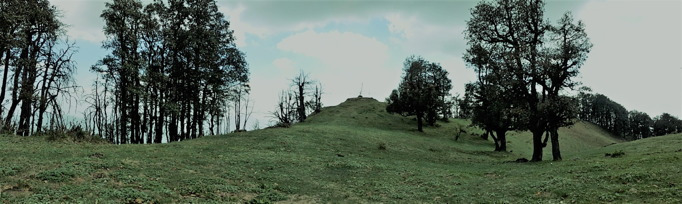 Of solo treks, open-top bus rides, and intoxicated drivers