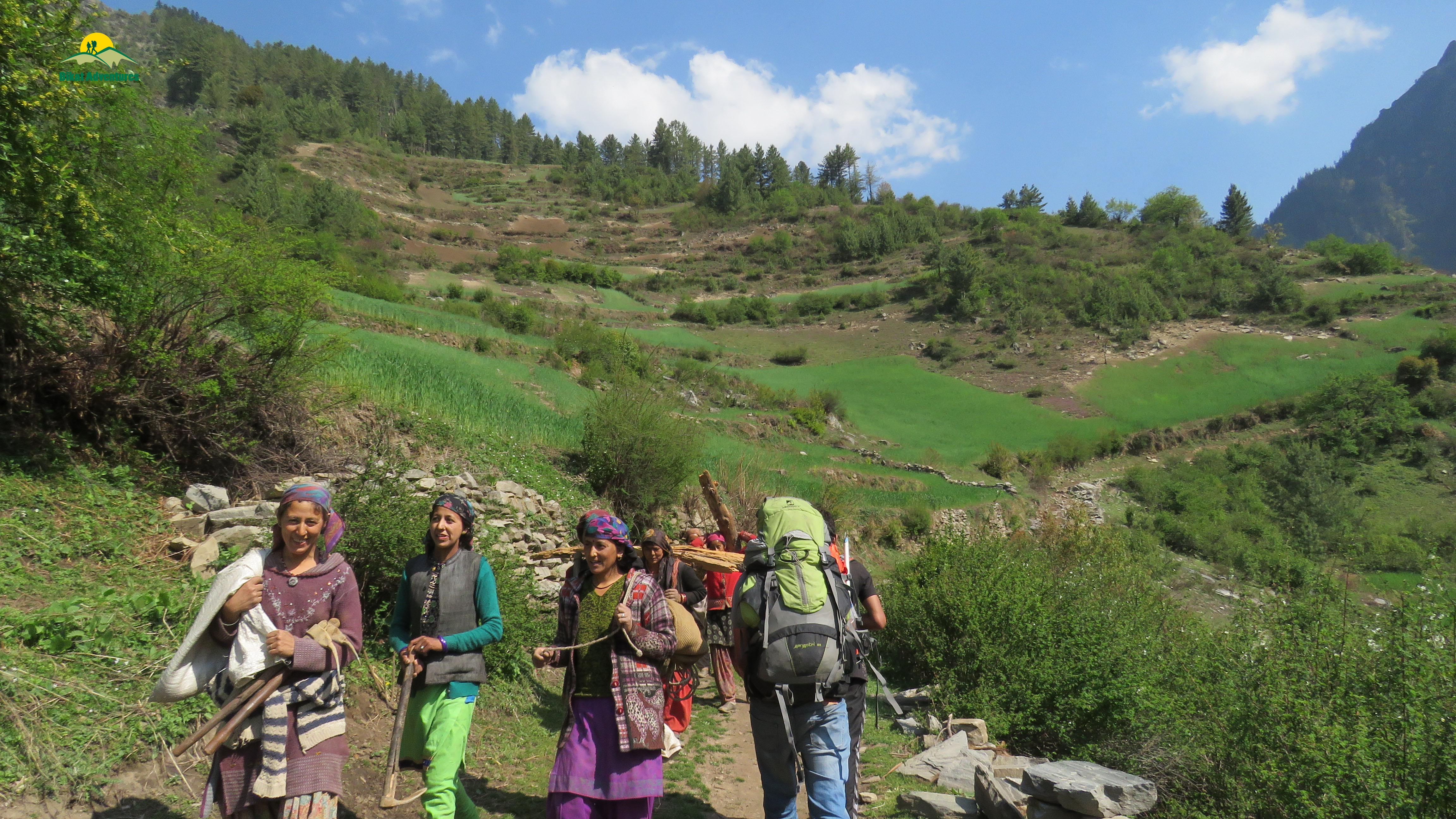 Story Of Healing Grass And Greedy Shepherd - Local Stories From Rupin Pass