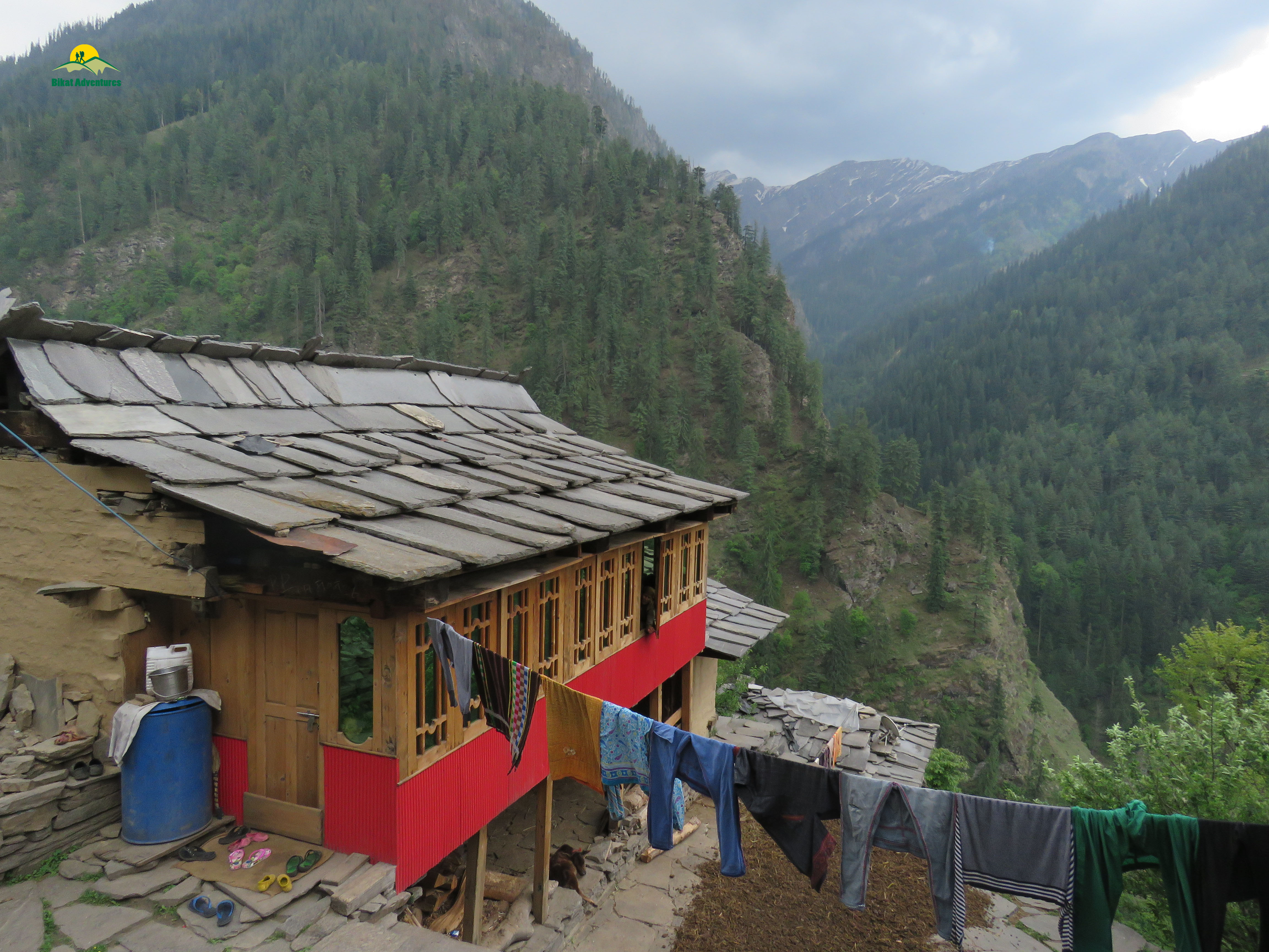 Story Of Healing Grass And Greedy Shepherd - Local Stories From Rupin Pass