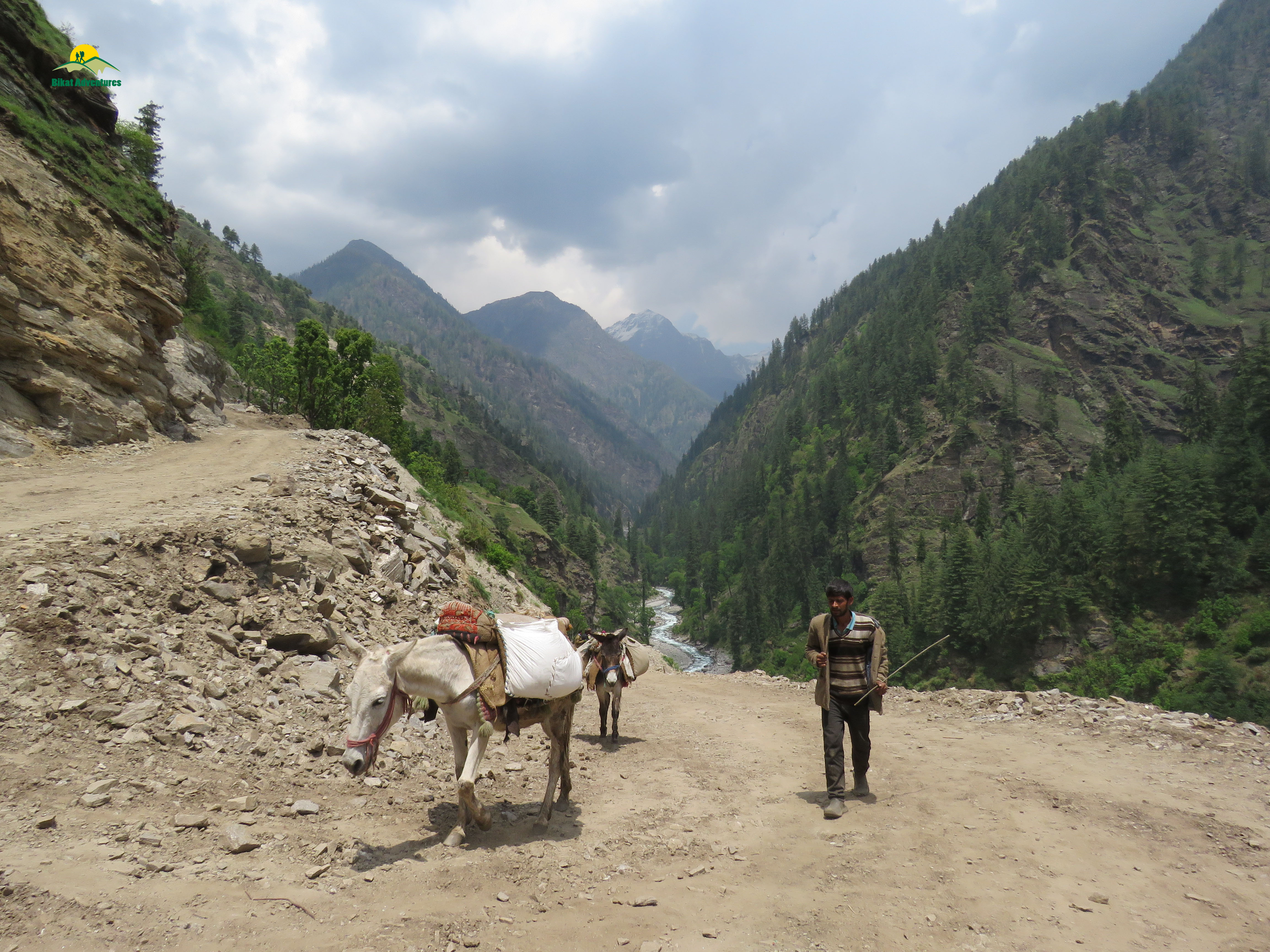 Story Of Healing Grass And Greedy Shepherd - Local Stories From Rupin Pass