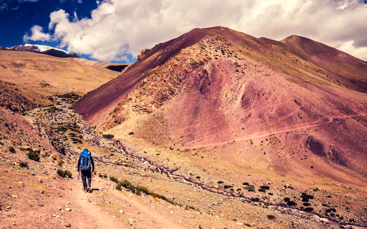 Markha valley trek