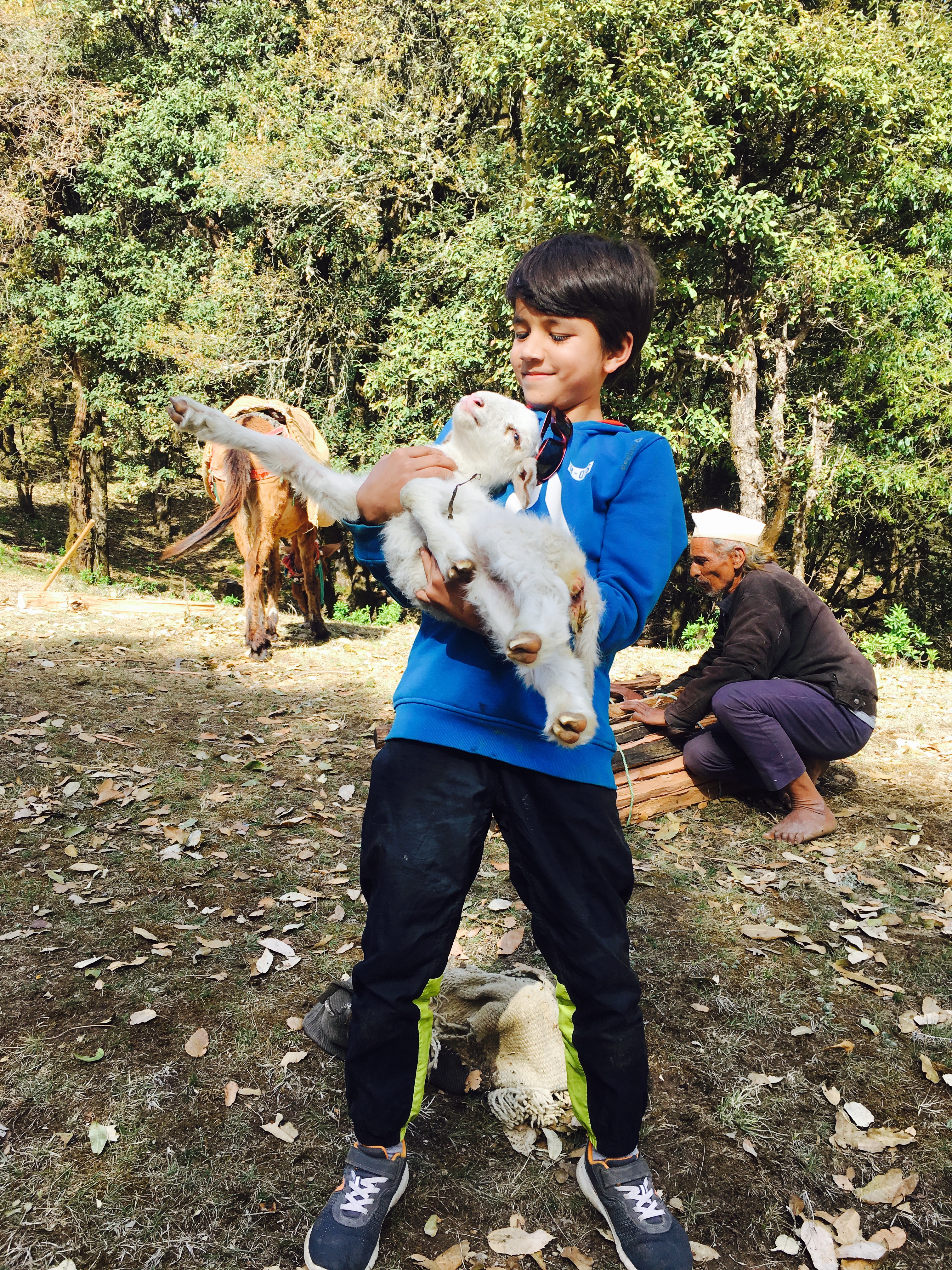 Is trekking a Detox for the Tech addicts? Learn from the Real Adventures of Adi