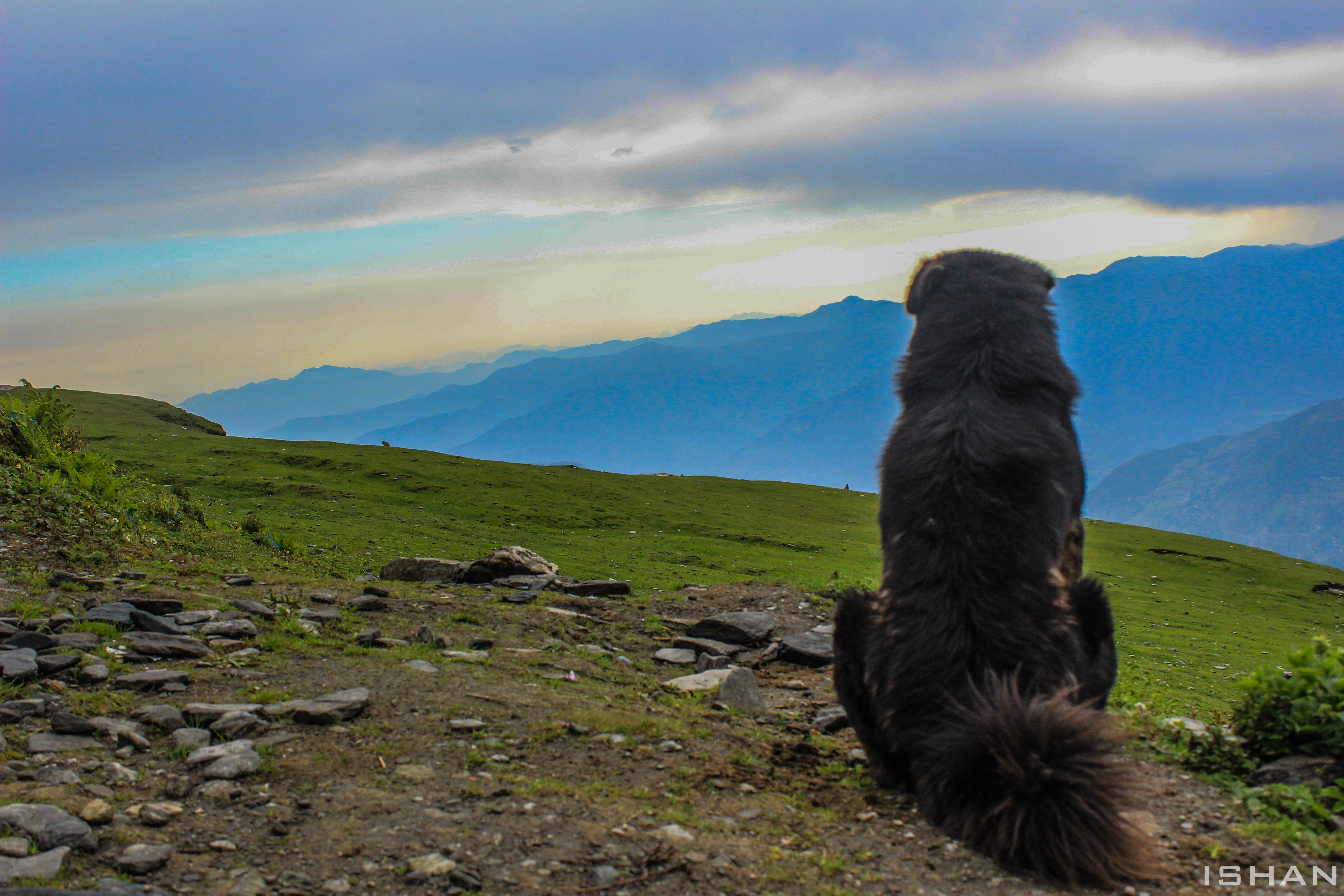 Solo trip to Uttarakhand