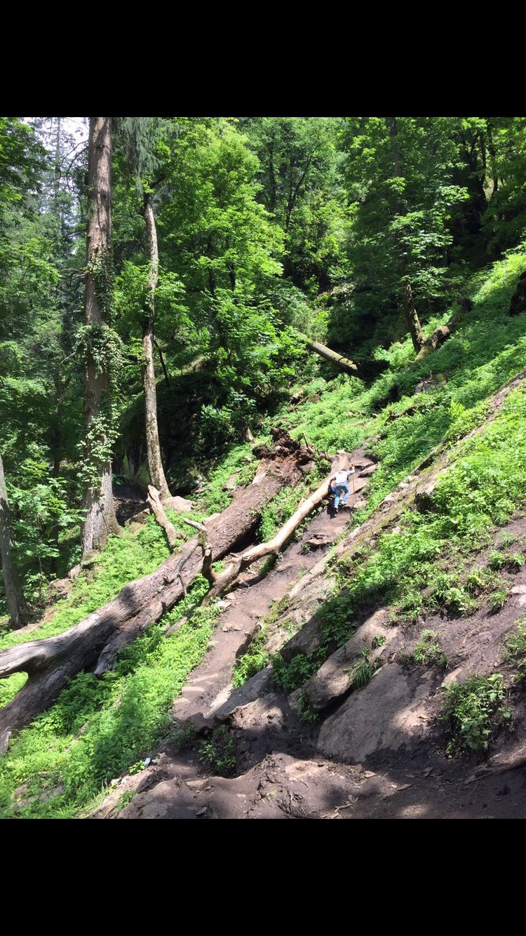 Leave the road , take the trails!