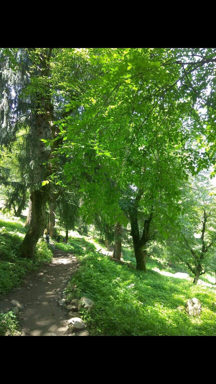 Leave the road , take the trails!