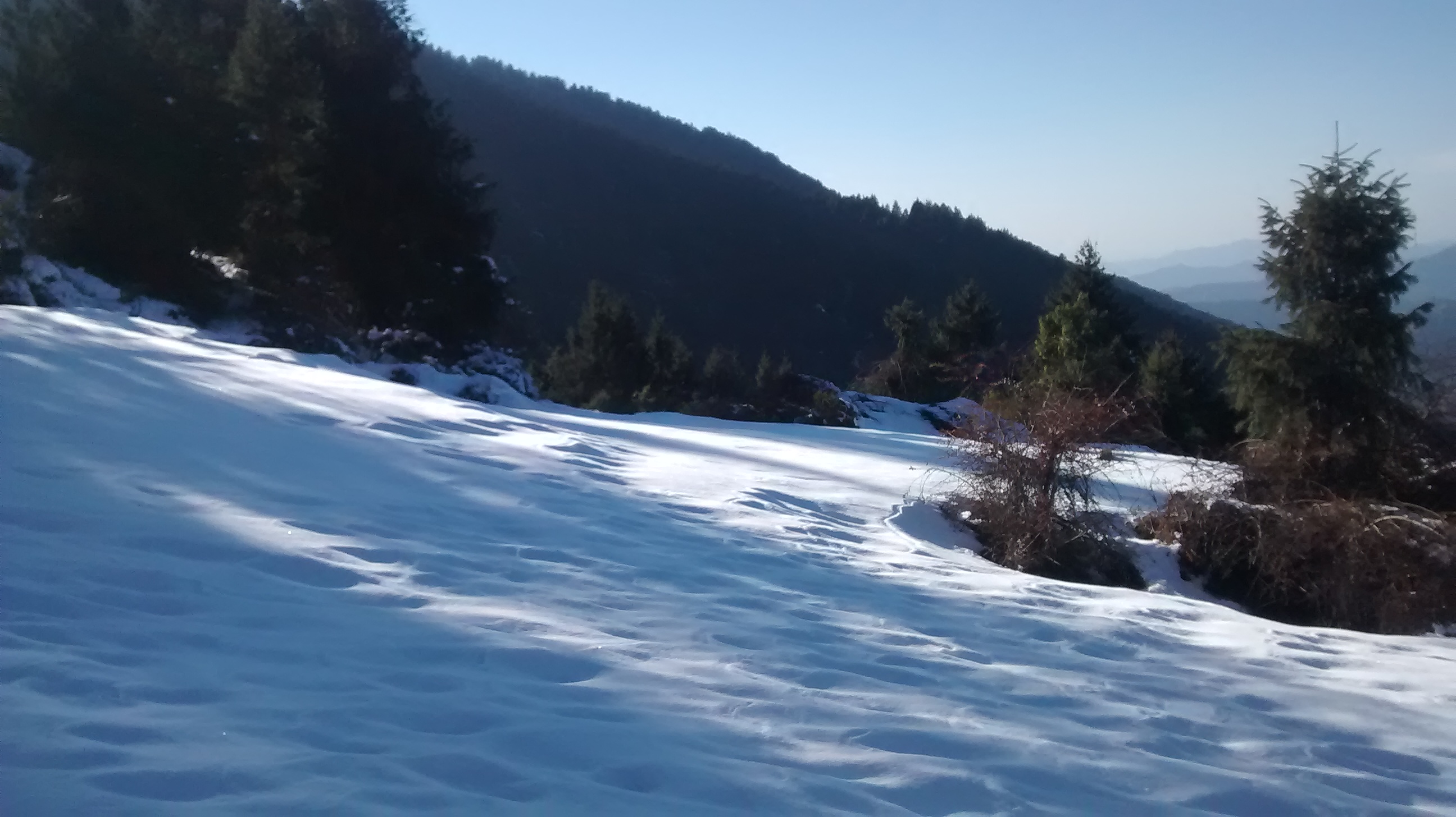 WAY TO PRASHAR LAKE: INCOMPLETE TRIP WITH COMPLETE ADVENTURE
