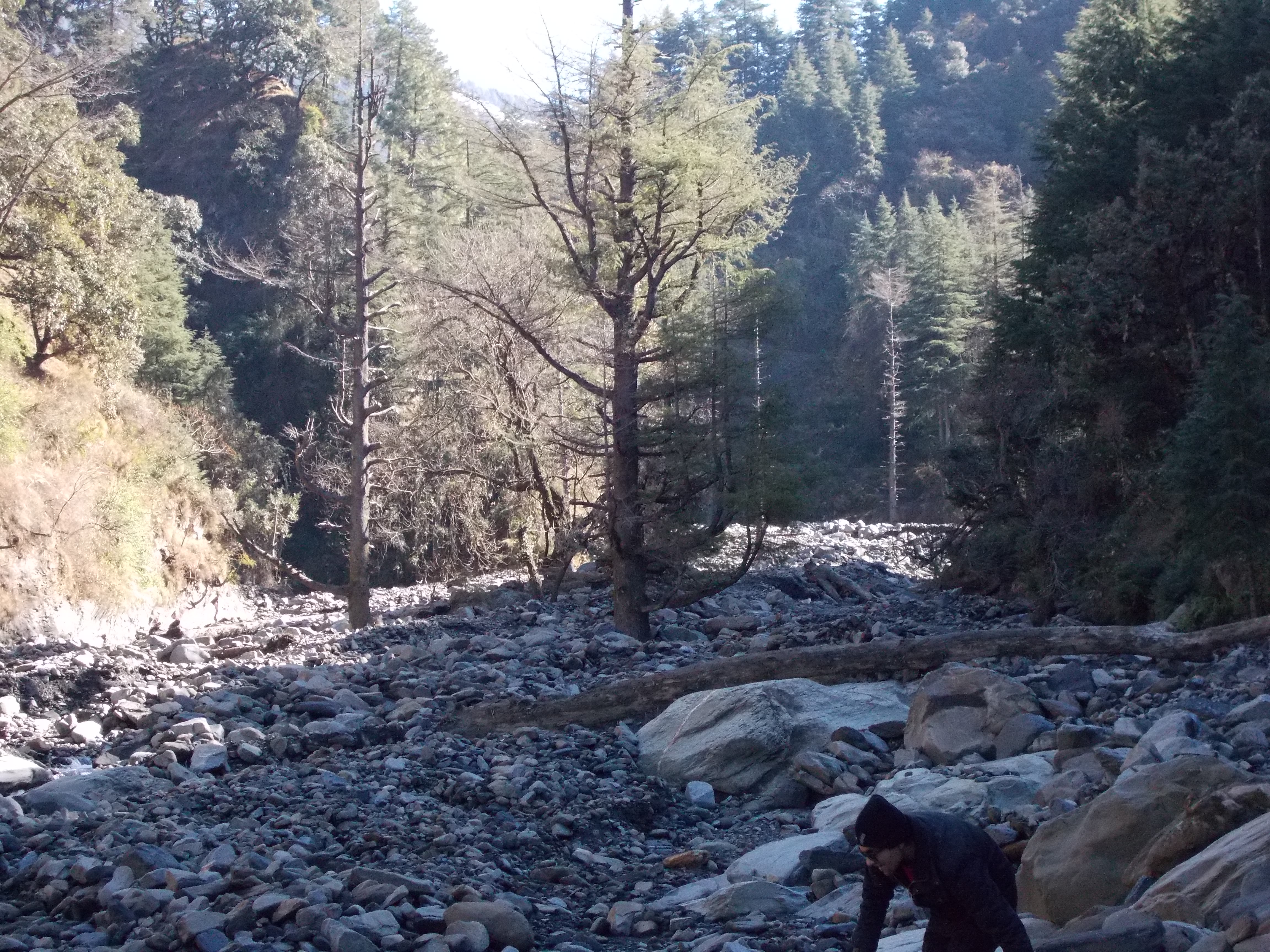 WAY TO PRASHAR LAKE: INCOMPLETE TRIP WITH COMPLETE ADVENTURE