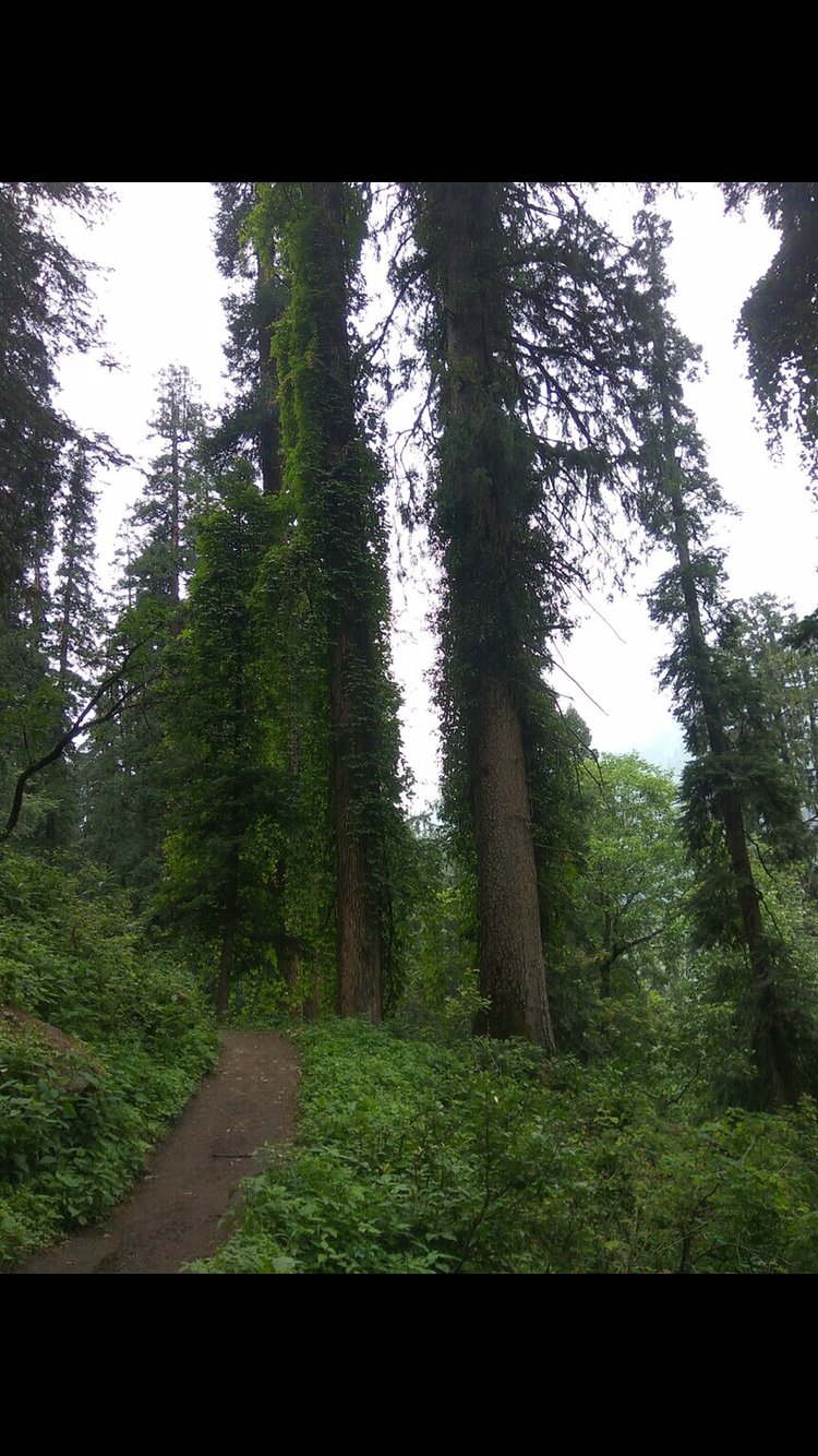 Leave the road , take the trails!